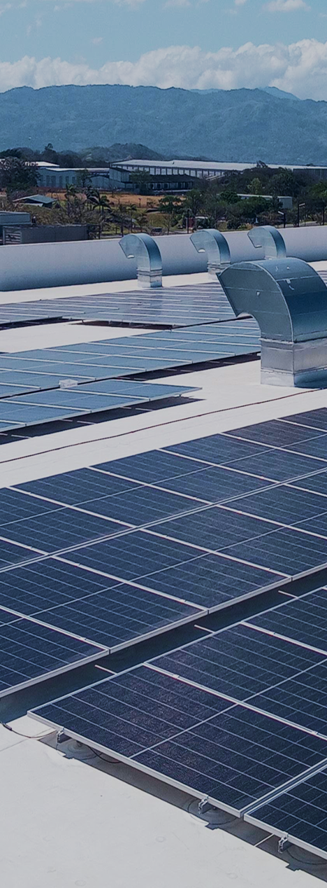 Paneles solares en techo industrial